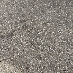 Meet your Posher, Joshua